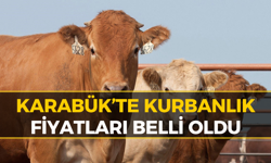 Karabük Kurbanlık Fiyatları 2026 (GÜNCEL) | Karabük Büyükbaş Fiyatları