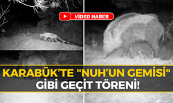 Karabük Ormanlarında Vahşi Yaşamın Gizli Görüntüleri