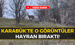 Karabük’te Nadir Görülen O Anlar