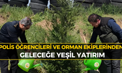 Karabük’te Fidan Dikim Etkinliği: Geleceğe Nefes Oldular