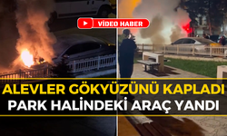 Karabük'te Korku Dolu Anlar: Otomobil Alev Alev Yandı!