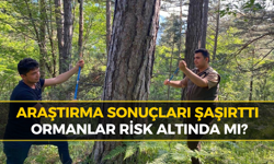 Küre Dağları’nda İklim Alarmı: Ağaçlar Değişimi Kaydediyor