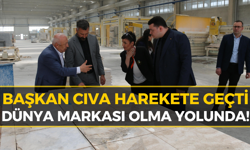 Eskipazar Sarı Traverten Taşı İçin Kritik Hamle!