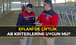 Eflani`de Çiftliğe AB Kriteri Denetimi