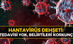 Hantavirüs Hızla Yayılıyor: Bu Belirtilere Dikkat Edin Sonu Ölüm!