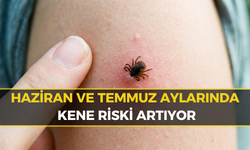 Karabük İçin Korkutan Kene ve KKKA Riski Uyarısı!