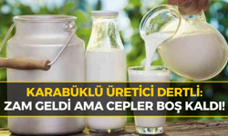 Süt Üreticisi Şokta: Yeni Fiyat Maliyetin Gölgesinde Kaldı