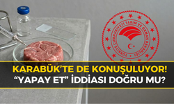 “Yapay Et” Serbest Mi Oldu? Bakanlıktan Yanıt