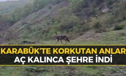 Karabük'te O Mahalleler Dikkat: Evlerin Dibine Kadar Geldi