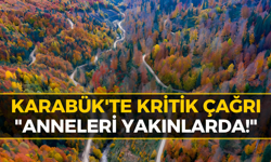 Karabük'te Vatandaşlara Önemli Duyuru: "Sakın Dokunmayın!"