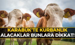 Karabüklülere Kritik Uyarı! Kurbanlık Alırken Bunlara Dikkat Edin