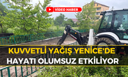Karabük Yenice'de Dere Taştı: Evler Tehlikede!