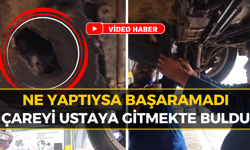 Safranbolu’da Yavru Kedinin İnanılmaz Kurtuluşu: İşte O Anlar