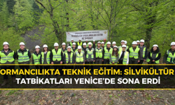 Geleceğin Ormanları Planlanıyor: Sahada Uygylamalı Gençleştirme Eğitimi