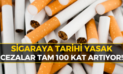 Sigara İçin Tarihi Yasa Taslağı: O Kuralları İhlal Eden Yandı!