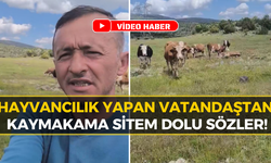 Köylüden Şoke Eden İddialar: "İneğime Trafik Cezası Yazdılar"
