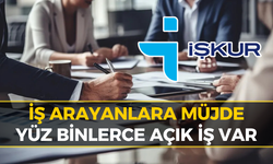 İŞKUR Açıkladı: İşte En Çok Eleman Aranan Meslekler!