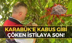 O Kabus Son Buluyor! Karabük İl Tarım Müdürlüğü Sahaya İndi