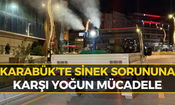 Karabük’te Belediye Ekipleri Haşere İçin Sahaya İndi