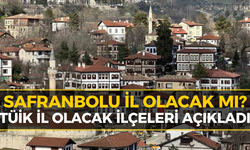 TÜİK Açıkladı: İl Olmaya Hak Kazanan 24 İlçe Belli Oldu!