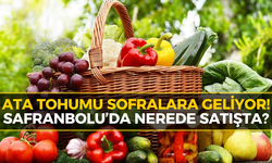 Safranbolu’da Ata Tohumlu Ürünler Yeniden Satışta
