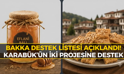 Karabük’ten İki Proje Destek Listesine Girdi