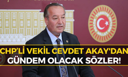 CHP'li Akay'dan Sert Çıkış: "Yangının Sorumlusu Belli"
