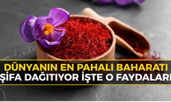Safranbolu’nun Altın Değeri: Dünyanın En Pahalı Baharatının Bilinmeyen Faydaları