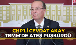 Karabük Milletvekili Cevdet Akay'dan Bomba İddia...