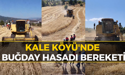 Karabük Kale Köyü’nde Buğday Hasadı Sezonu Başladı