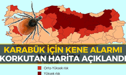 Karabük'te Kene Tehlikesi Zirvede! Uzmanlardan Hayati Uyarılar