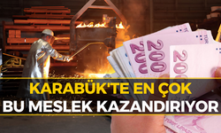 Karabük'te En Çok Para Kazandıran Meslek Ortaya Çıktı