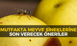 Karabük Mutfaklarında Meyve Seneği Kabusuna Son Çözüm
