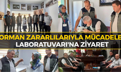 Karabük’te Orman Zararlılarıyla Mücadele Çalışmaları