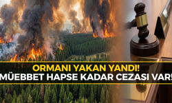Orman Yangınında Cezalar Ağırlaşıyor! İşte Detaylar