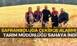 Çekirge İstilası İddiaları Sonrası Ekipler Sahaya İndi: Korkulan Olmadı!