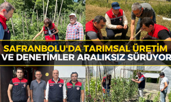 Safranbolu'da Tarım Üretimleri Yerinde İncelendi