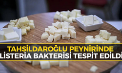 Karabük'teki Tüketiciler Dikkat: Peynirde Ölümcül Bakteri Tehlikesi