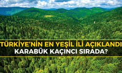 Türkiye'nin En Yeşil Şehri Belli Oldu: Karabük Kaçıncı Sırada?