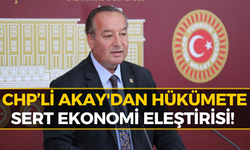 TBMM'de Gündem Olan Sözler! Cevdet Akay'dan Enflasyon Çıkışı