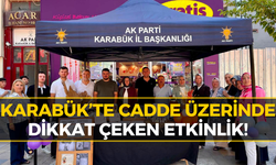 AK Parti Karabük’ten İbn-i Sina İçin Anlamlı Etkinlik!