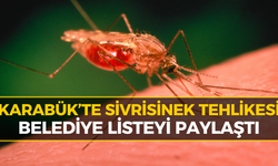 Karabük’te Sivrisinek Alarmı: Belediyeden 18 Nokta İçin Kritik Uyarı