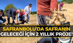Safranbolu’da Safran İçin Kollar Sıvandı! İlk Soğanlar Dikildi