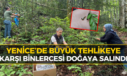Yenice Ormanlarında Bakın Ne Yapıldı! Binlercesi Doğaya Salındı