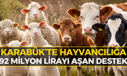 Karabük’te Hayvancılığa Dev Destek! Milyonlarca Lira Aktarıldı
