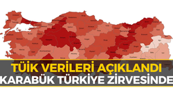 TÜİK Verileri Geldi! Karabük Türkiye Birincisi Oldu