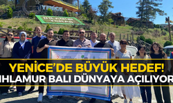 Yenice’de Ihlamur Balı İçin Kritik Adım!
