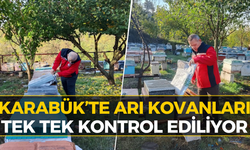 Karabük'te Ekipler Sahaya İndi: Kovan Kontrolleri Başladı