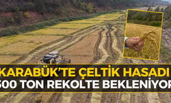 Karabük’te 595 Dekarlık Alanda Hasat Mesaisi Başladı
