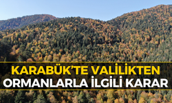 Karabük Valiliğinden Ormanlarla İlgili Flaş Karar!